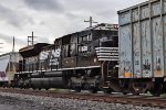 NS 1126 on 11K